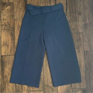 Ann Taylor High Rise Wide Leg Belted Culottes